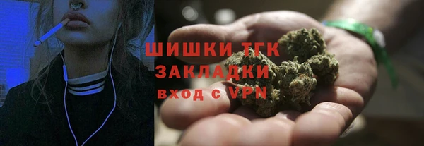 индика Вязники