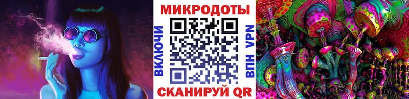 Псилоцибиновые грибы Psilocybine cubensis  Тула 
